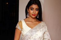 Shriya Saree Photos
